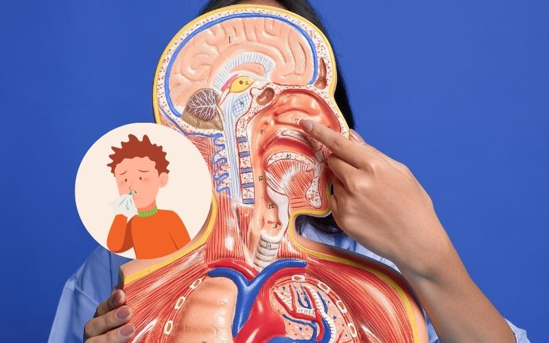 How to treat nasal congestion at night at home