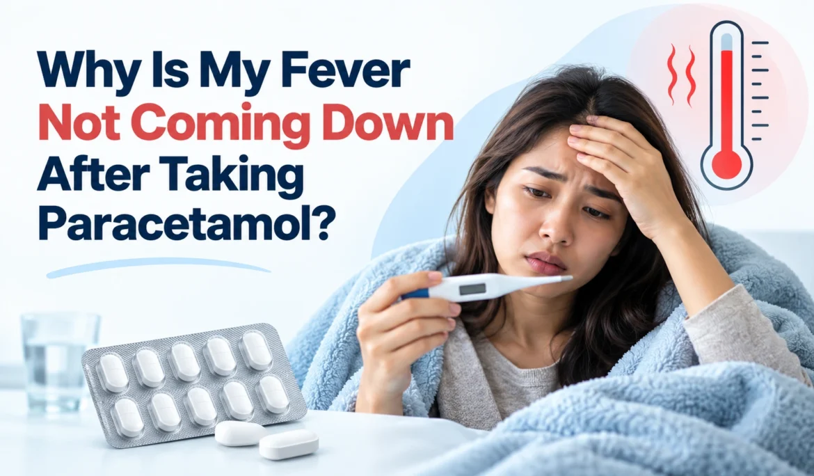 Why Is My Fever Not Coming Down After Taking Paracetamol?